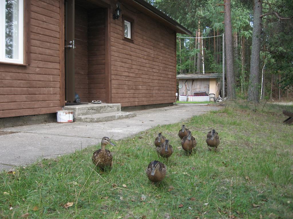 Lomasaaret Cottages Villala Cameră foto